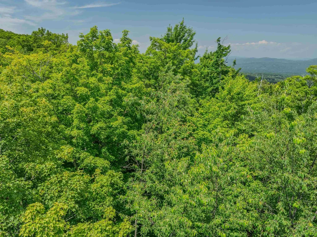 Mountain View Lane Bethlehem NH 03574