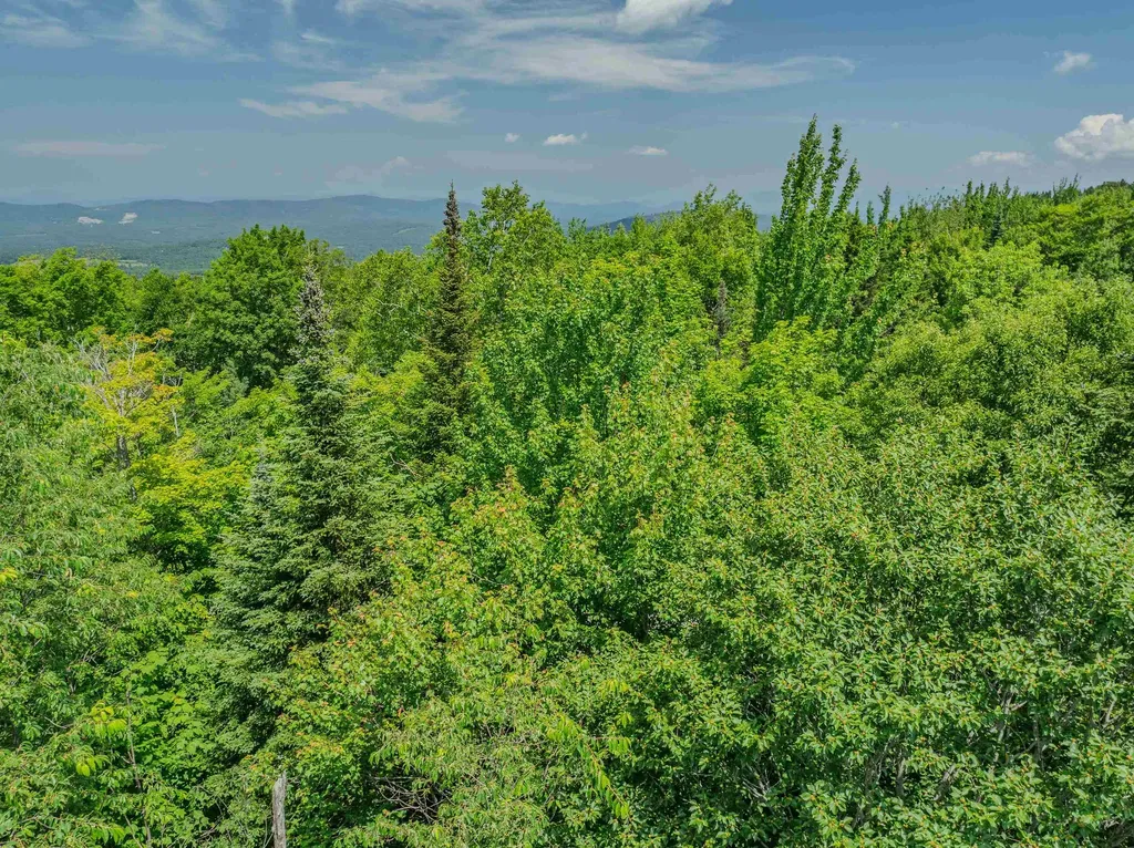 Mountain View Lane Bethlehem NH 03574