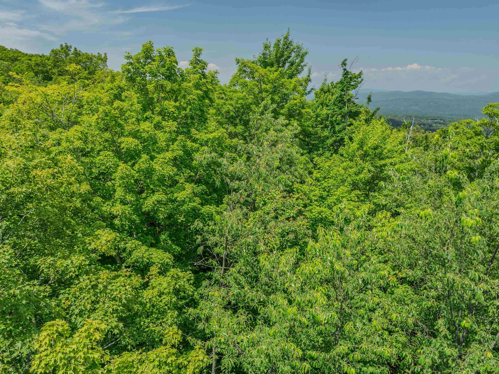 Mountain View Lane Bethlehem NH 03574