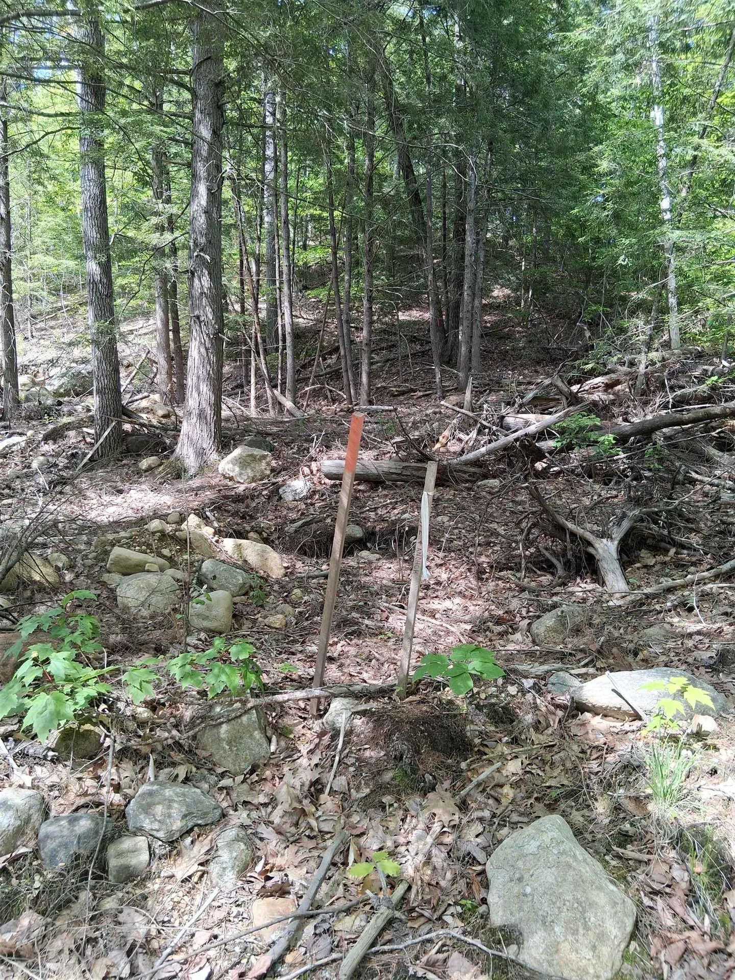 M10 L26-3 Valley Dam Road Barnstead NH 03225