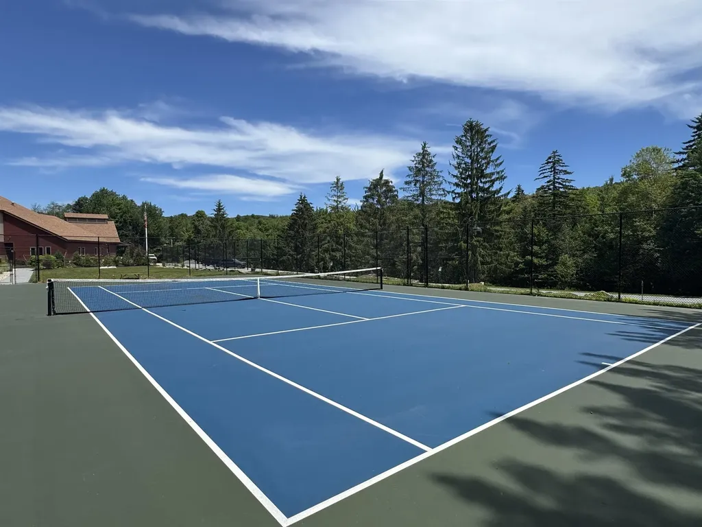 44 Tanglewood Lane Dover VT 05356