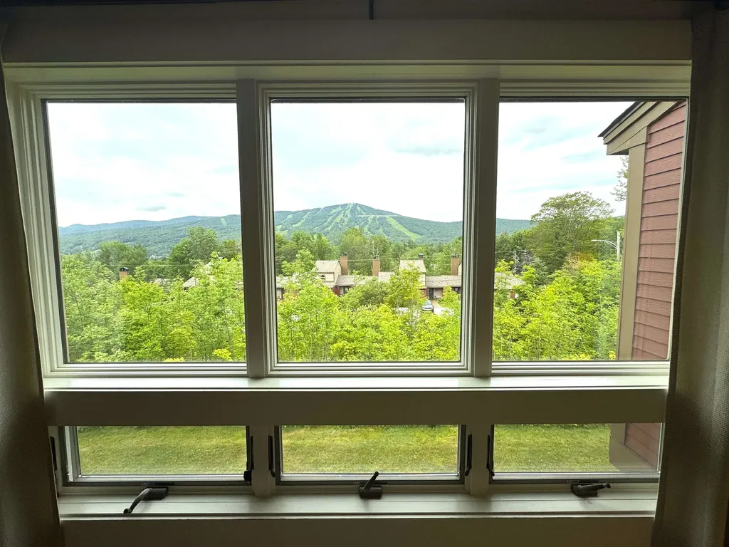 44 Tanglewood Lane Dover VT 05356