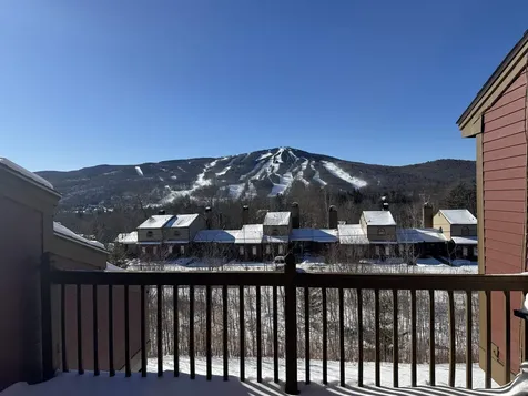 44 Tanglewood Lane Dover VT 05356