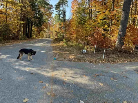 301 Route 16b Ossipee NH 03814