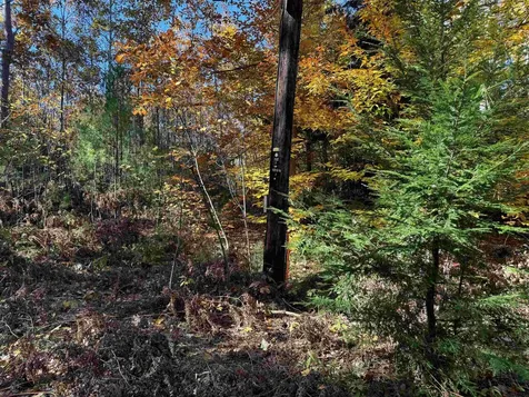 301 Route 16b Ossipee NH 03814