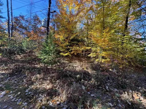 301 Route 16b Ossipee NH 03814