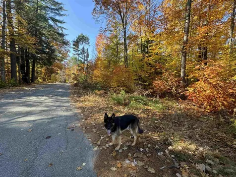 301 Route 16b Ossipee NH 03814
