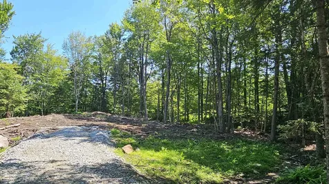 M14 L383 Buchanan Circle Washington NH 03280