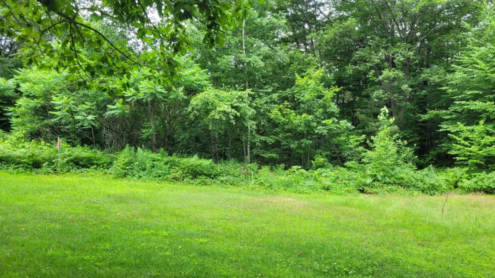 Gill Terrace Ludlow VT 05149