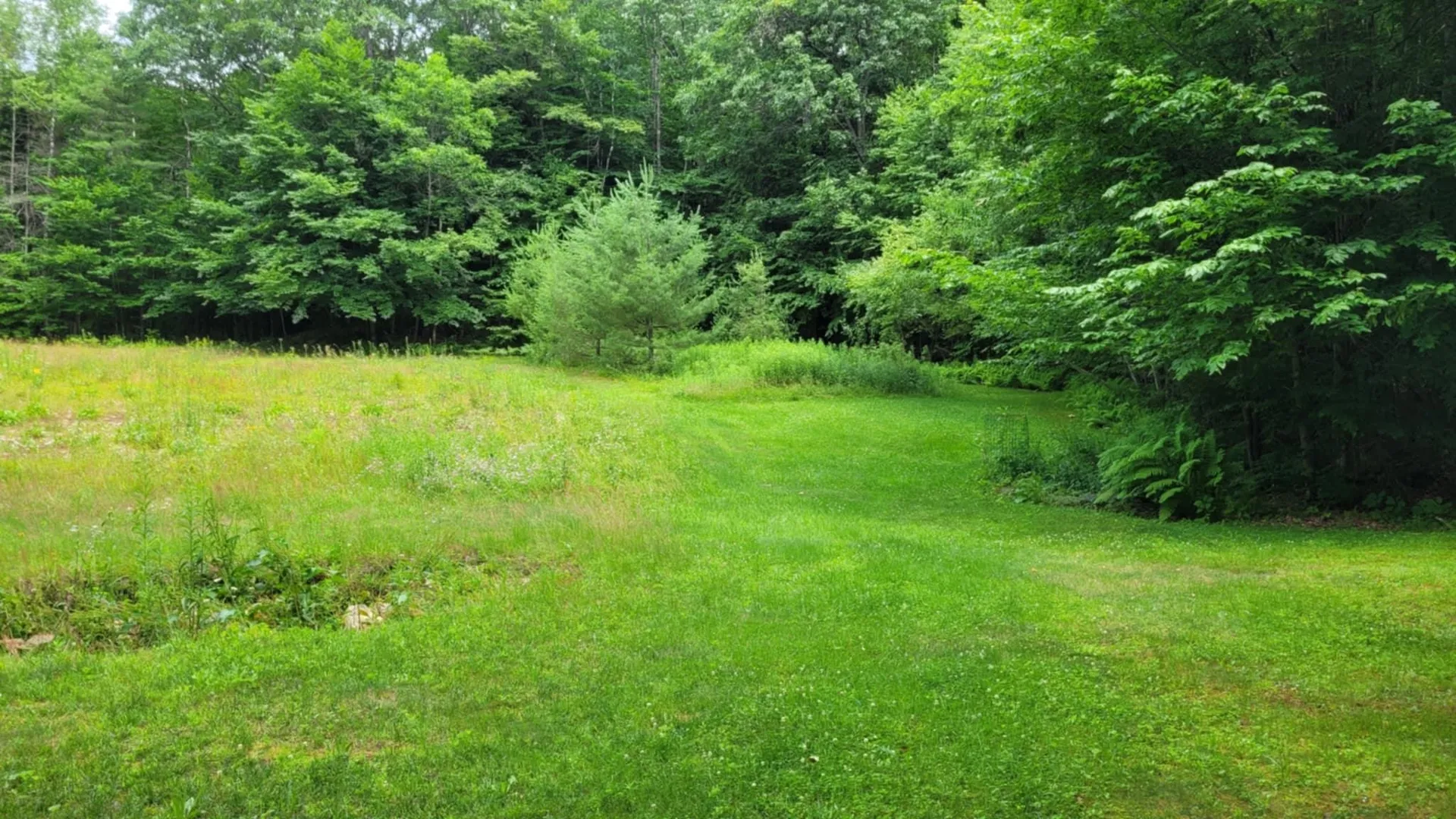 Gill Terrace Ludlow VT 05149