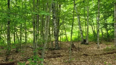 Gill Terrace Ludlow VT 05149