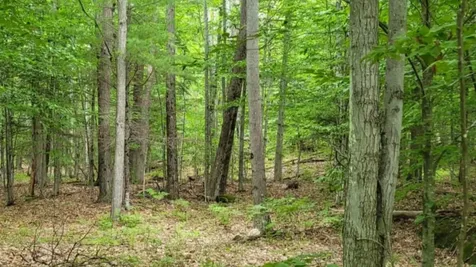 Gill Terrace Ludlow VT 05149