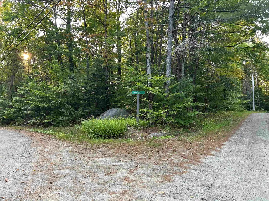 0 Loon Circle Londonderry VT 05148