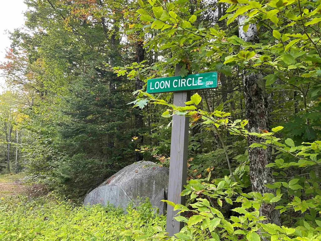0 Loon Circle Londonderry VT 05148