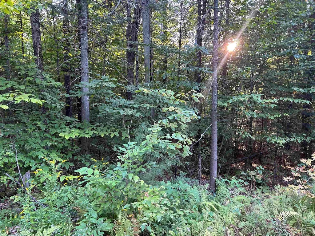 0 Loon Circle Londonderry VT 05148