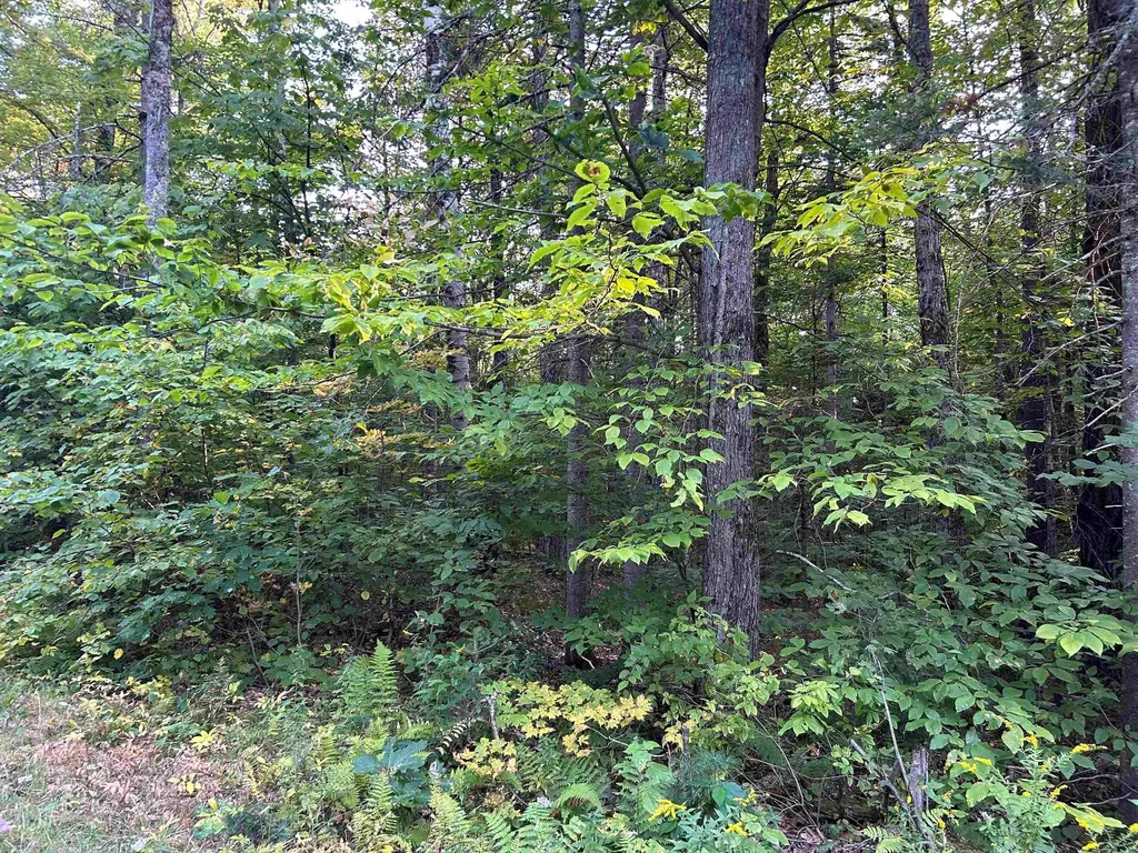 0 Loon Circle Londonderry VT 05148