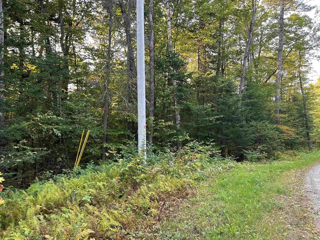 0 Loon Circle Londonderry VT 05148