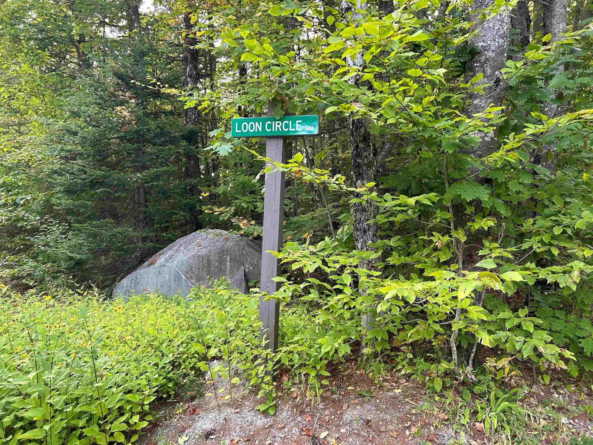 0 Loon Circle Londonderry VT 05148