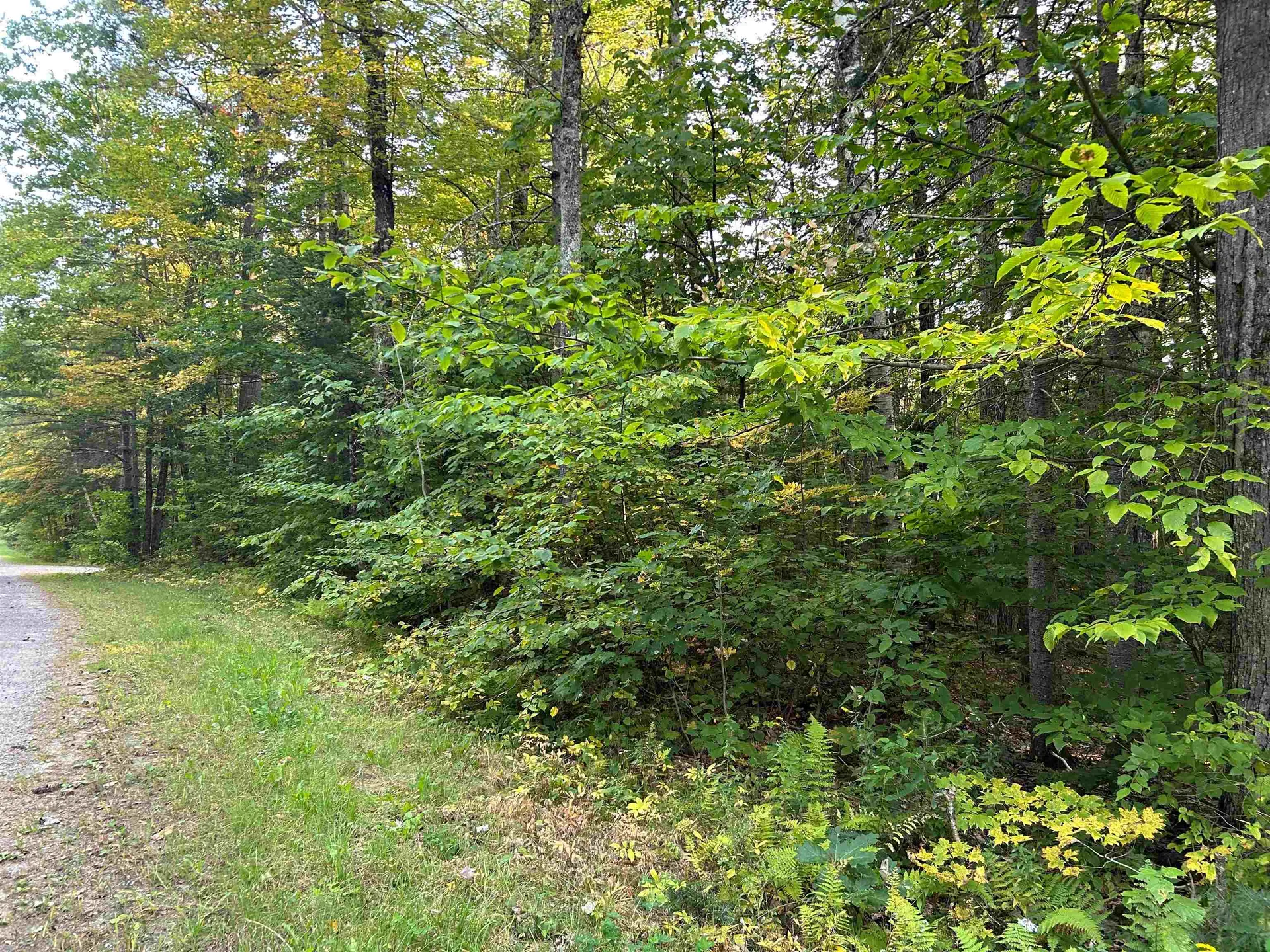 0 Loon Circle Londonderry VT 05148