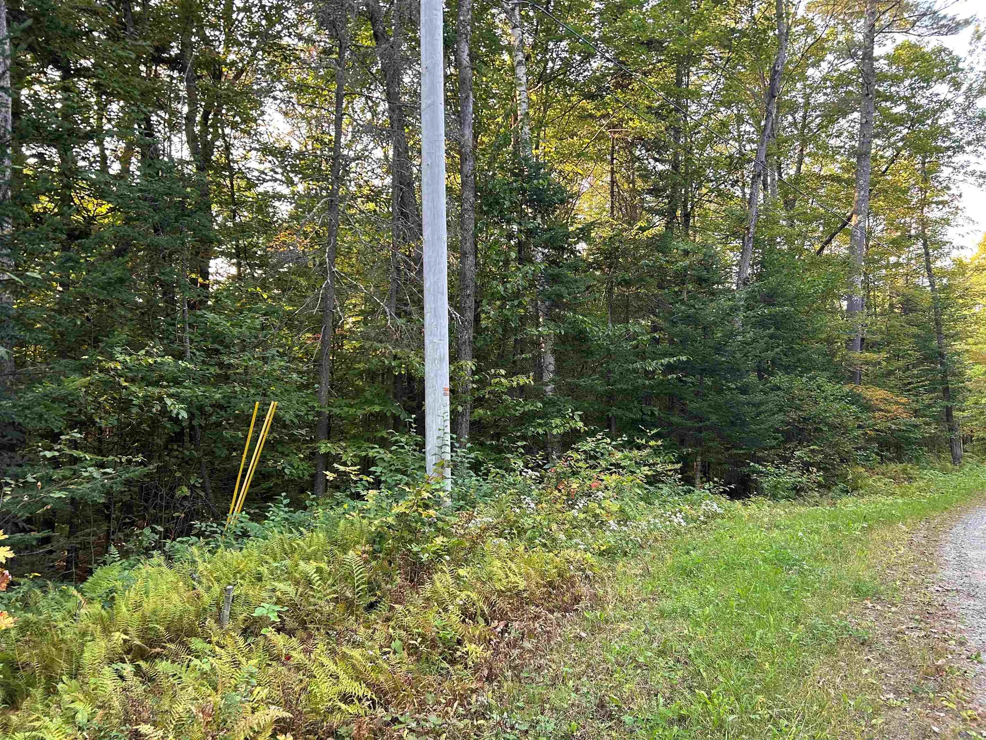 0 Loon Circle Londonderry VT 05148