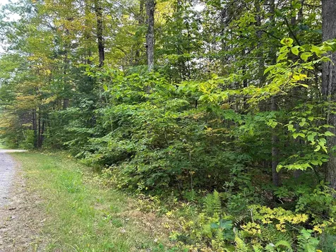0 Loon Circle Londonderry VT 05148