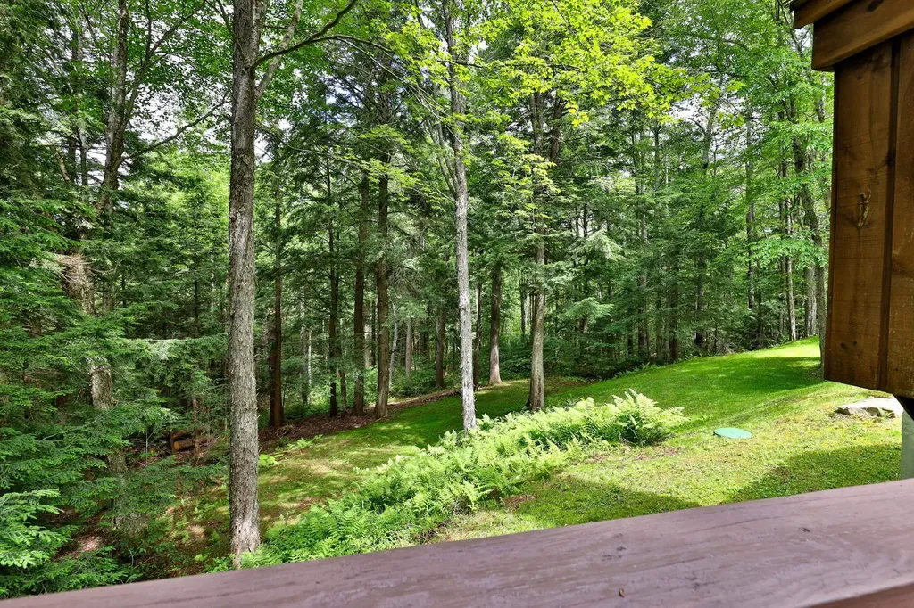 261 Hawk Spur Road Plymouth VT 05056