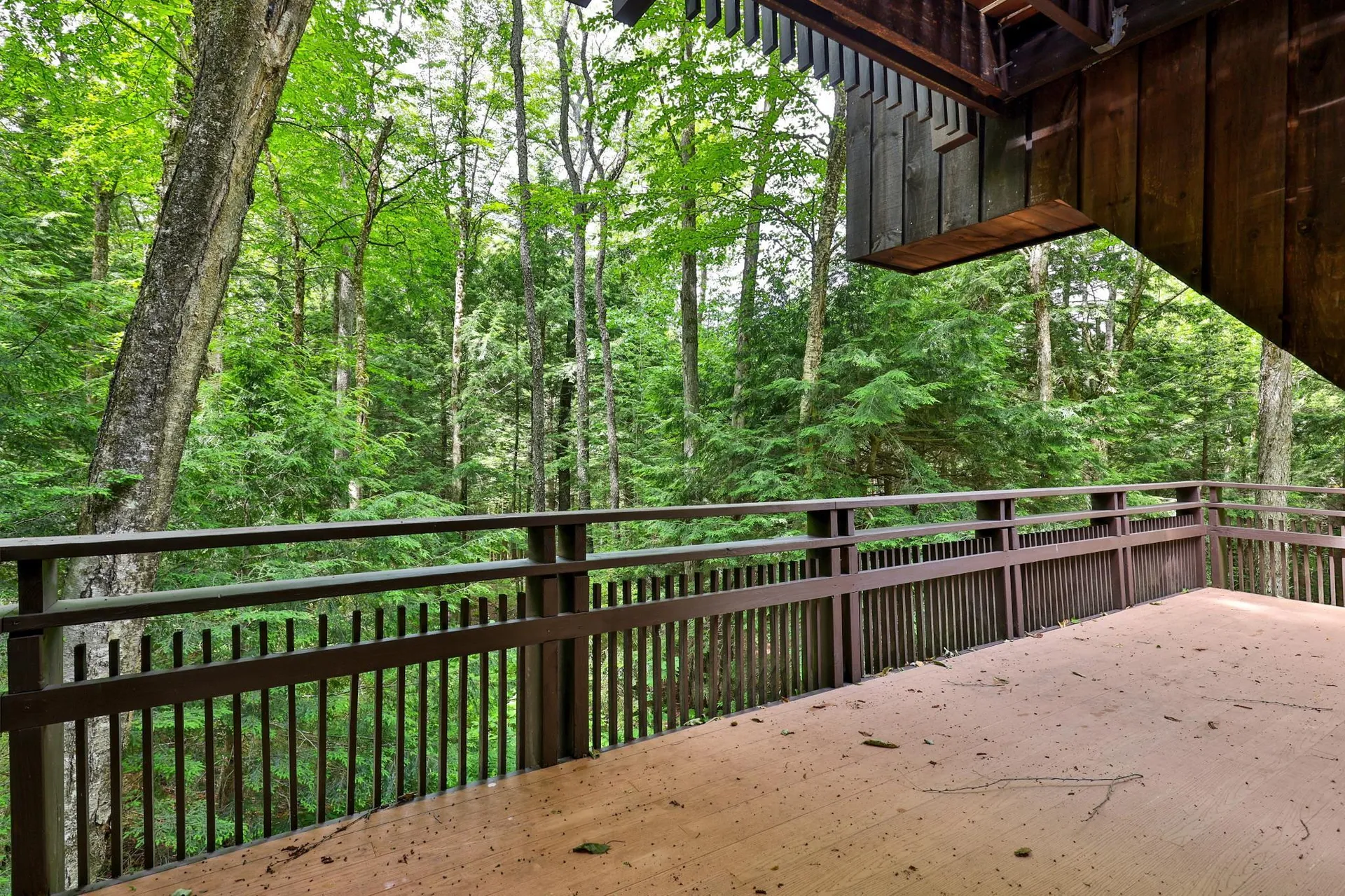 261 Hawk Spur Road Plymouth VT 05056