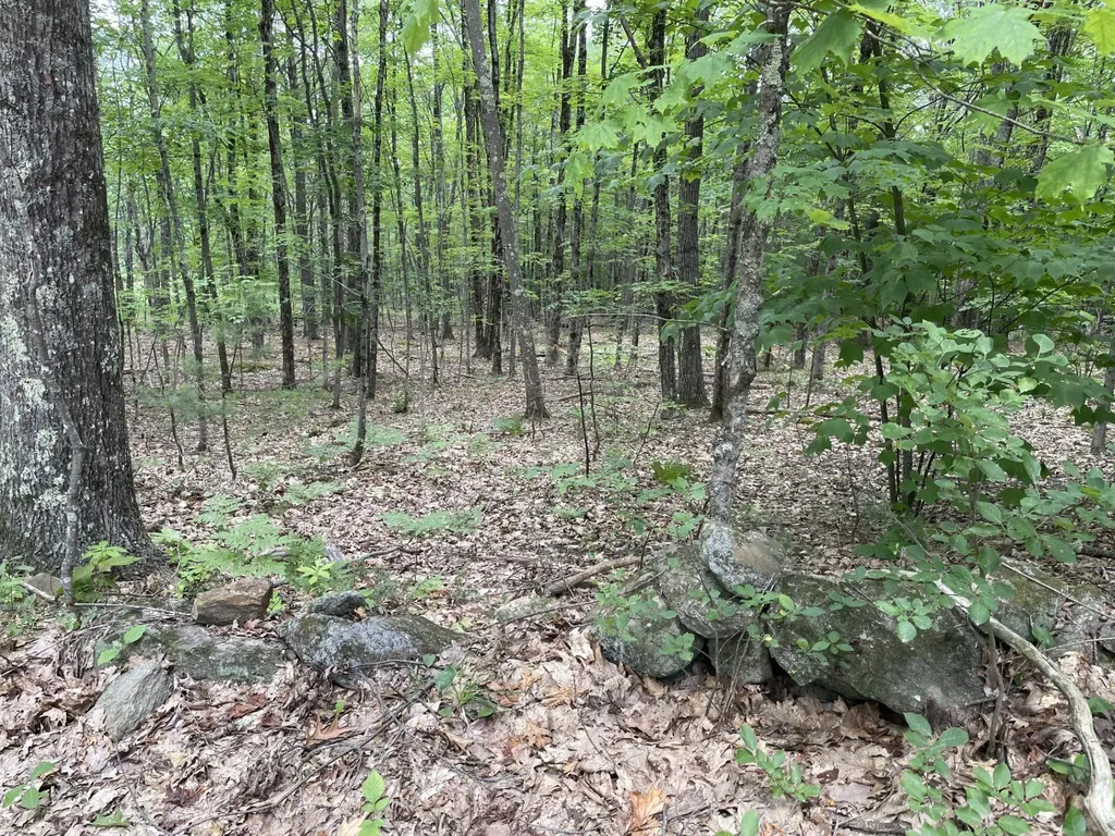 956 N Barnstead Road Barnstead NH 03225