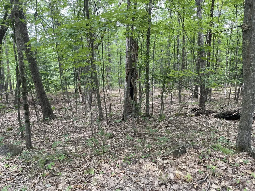 956 N Barnstead Road Barnstead NH 03225