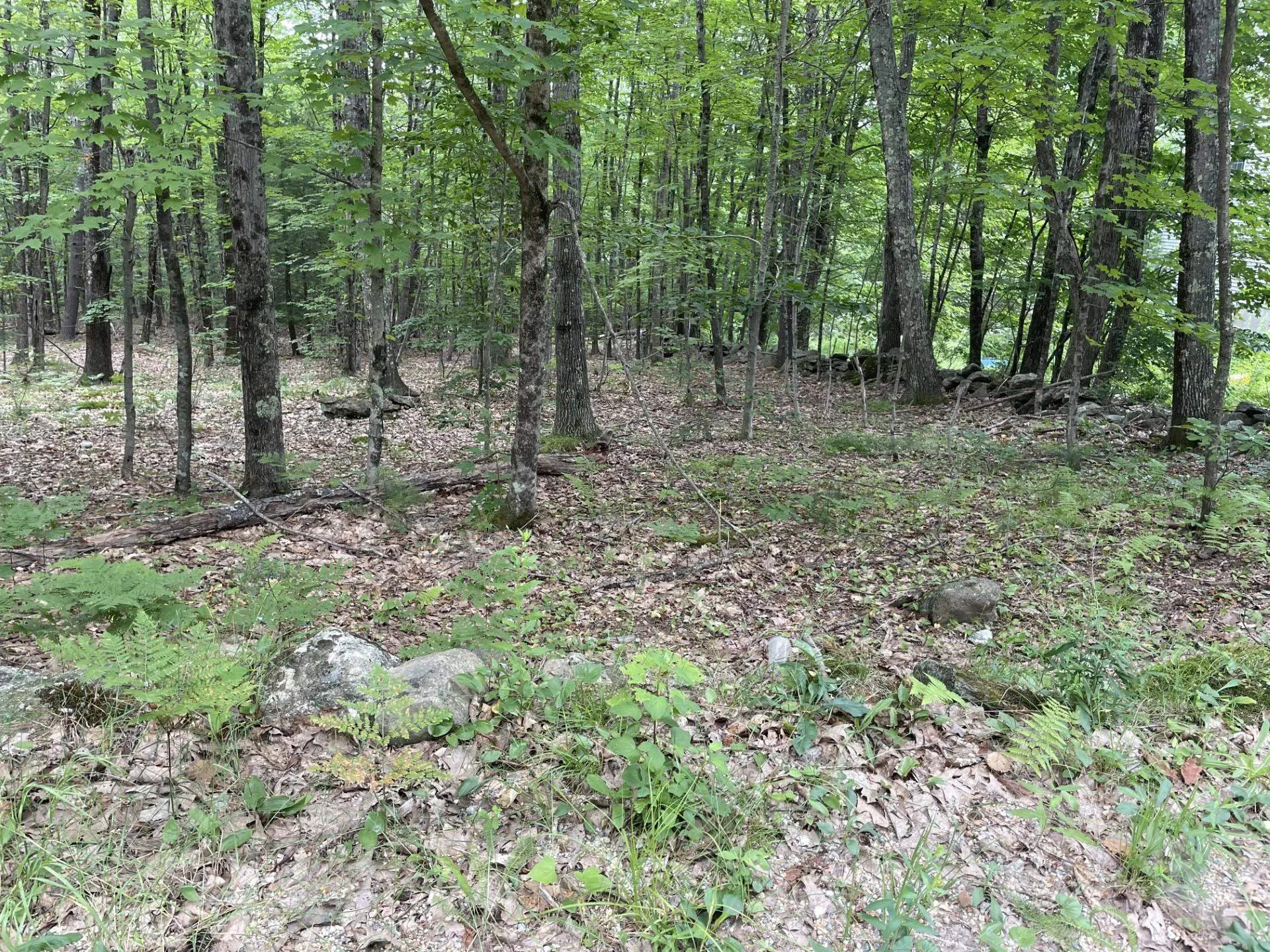 956 N Barnstead Road Barnstead NH 03225