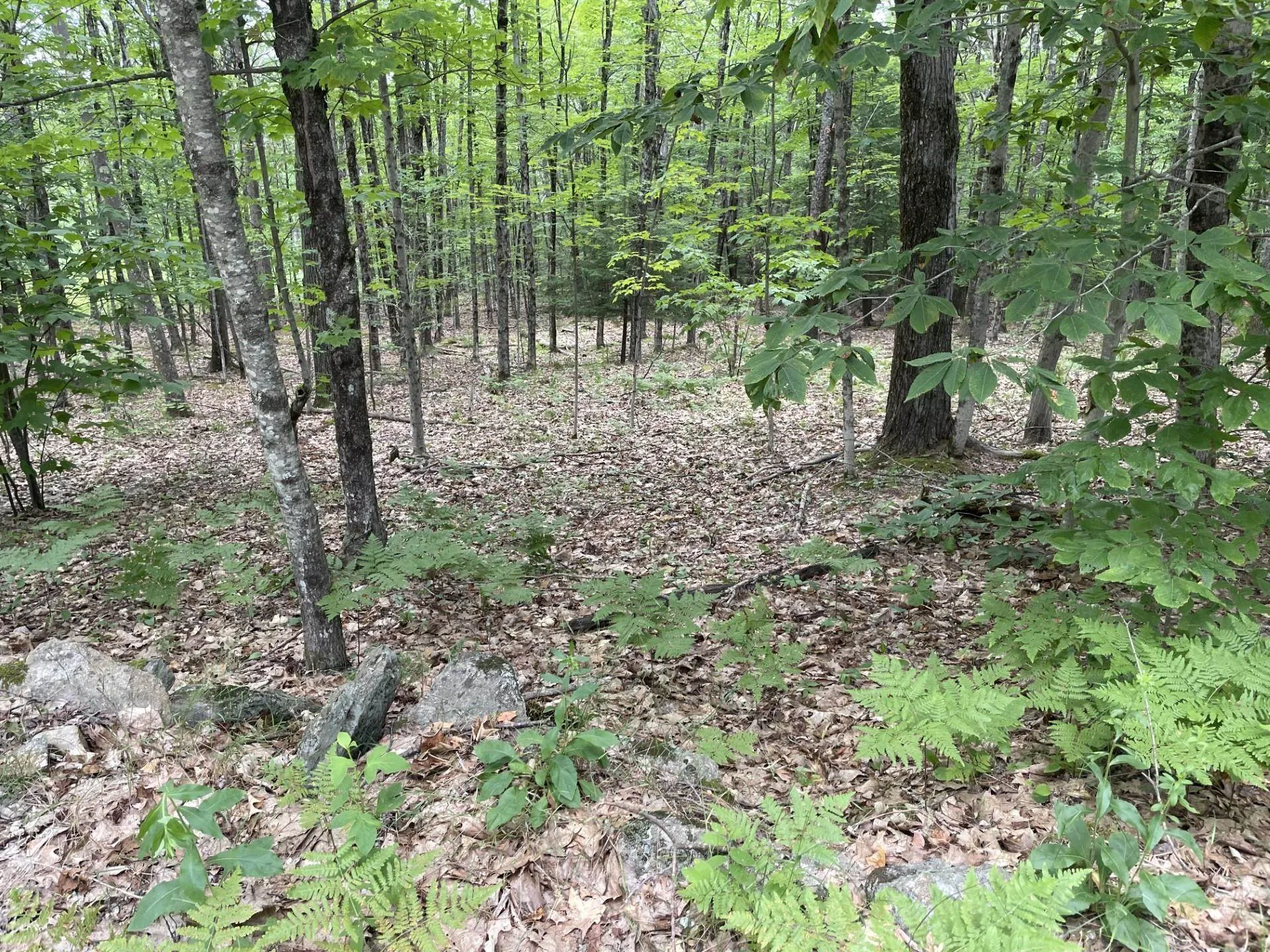 956 N Barnstead Road Barnstead NH 03225