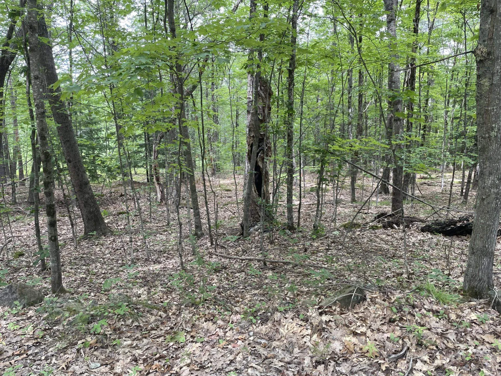 956 N Barnstead Road Barnstead NH 03225