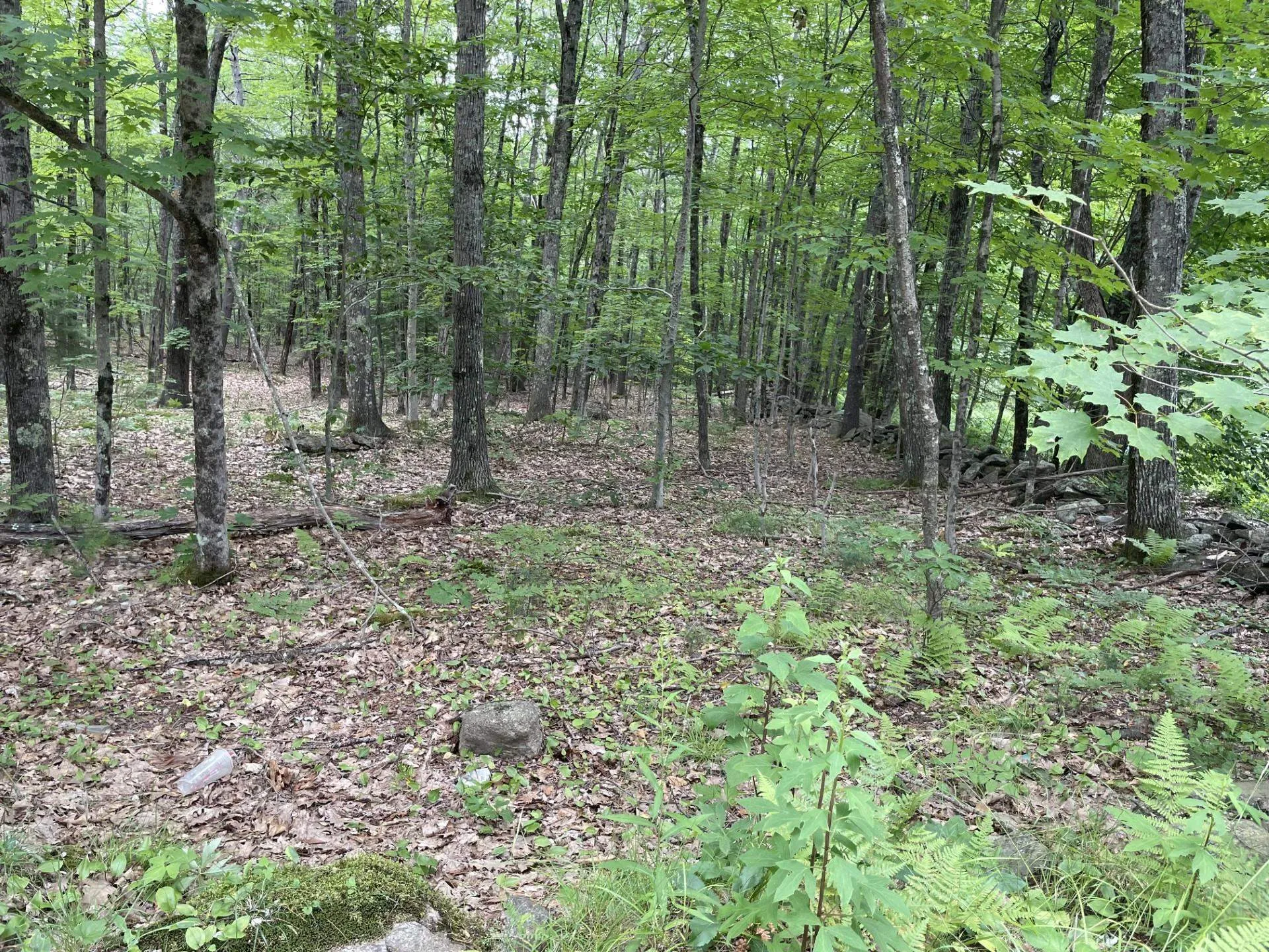 956 N Barnstead Road Barnstead NH 03225