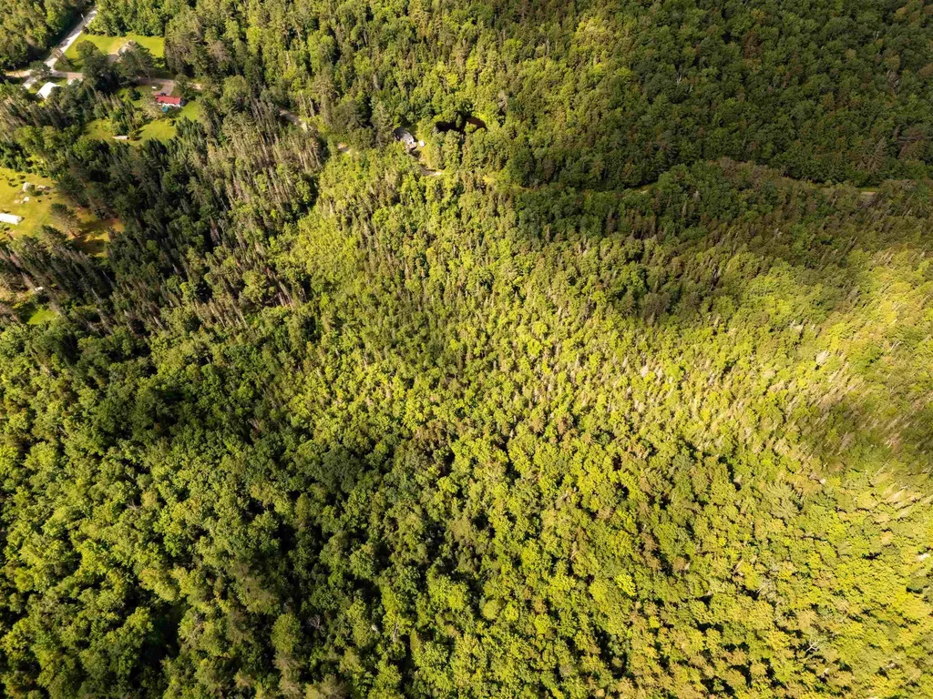 00 Boynton Road Londonderry VT 05148