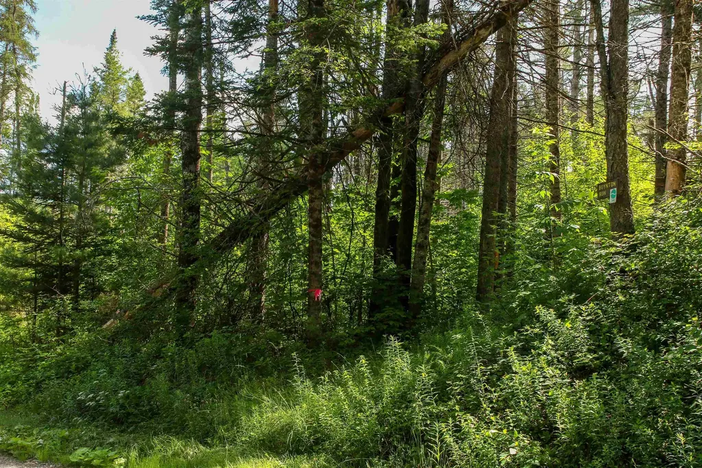 00 Boynton Road Londonderry VT 05148