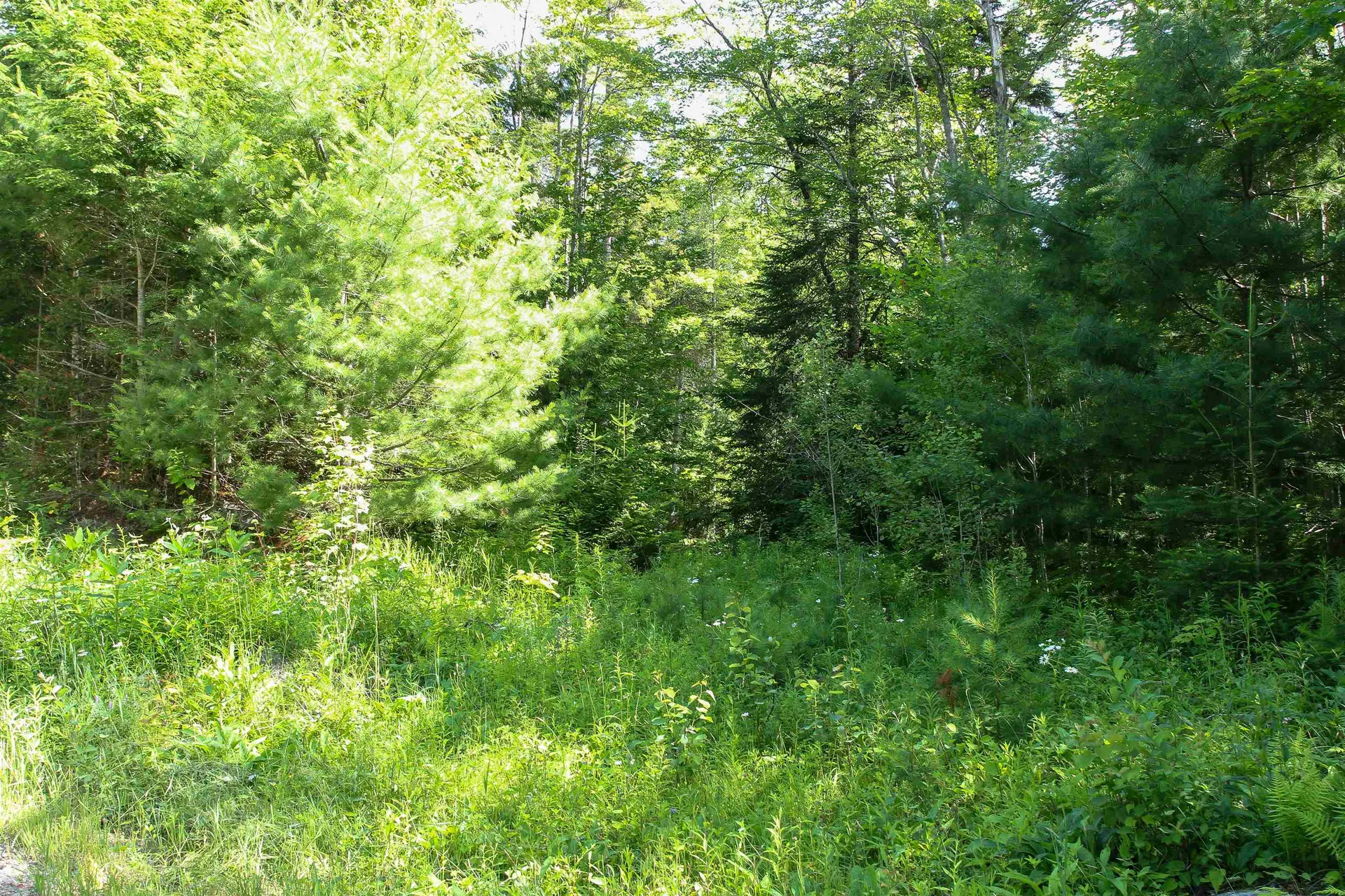 00 Boynton Road Londonderry VT 05148