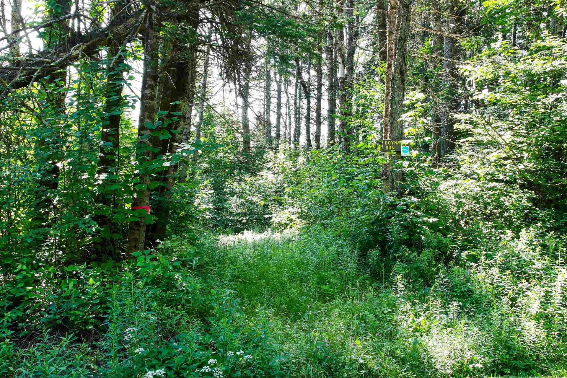 00 Boynton Road Londonderry VT 05148