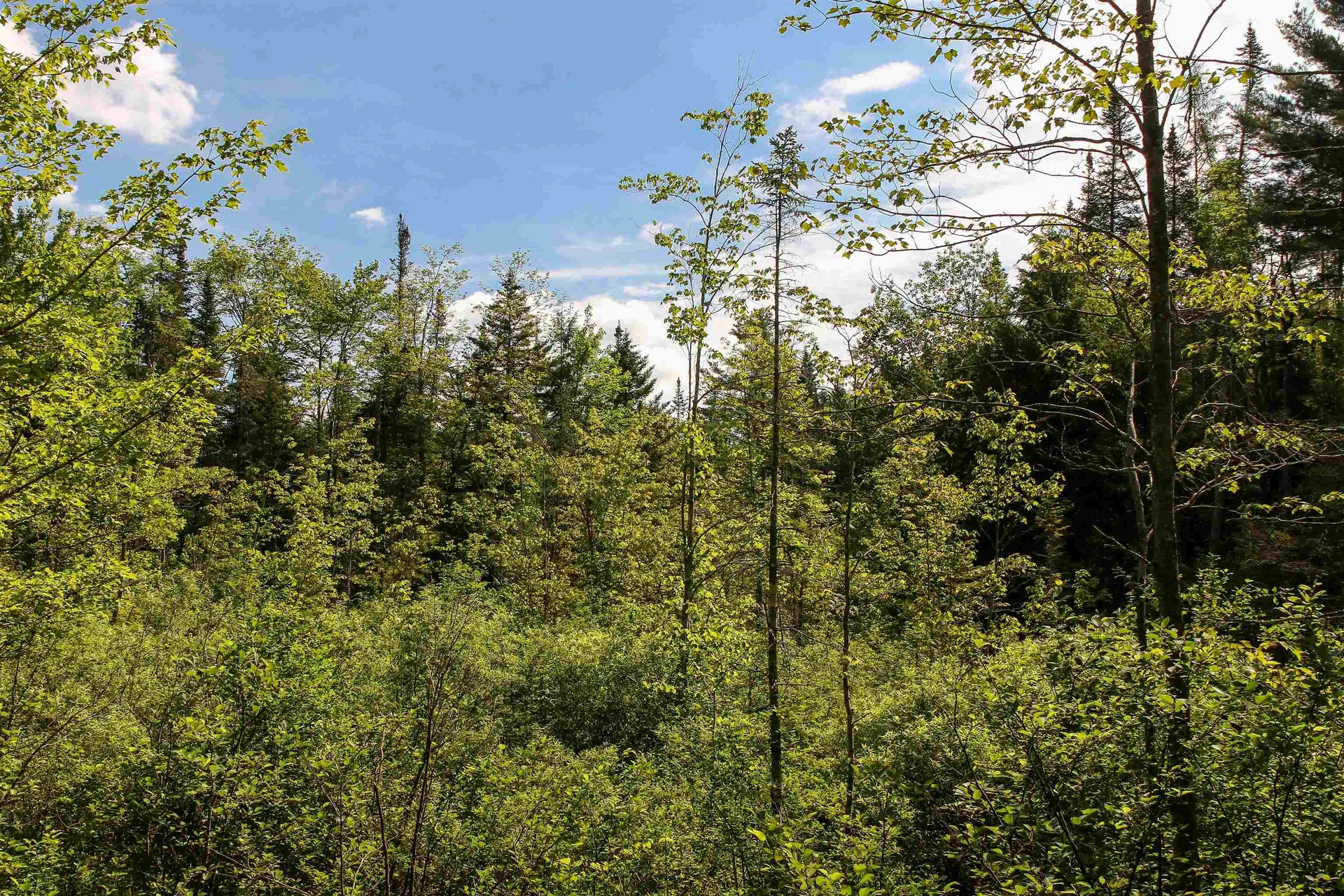 00 Boynton Road Londonderry VT 05148