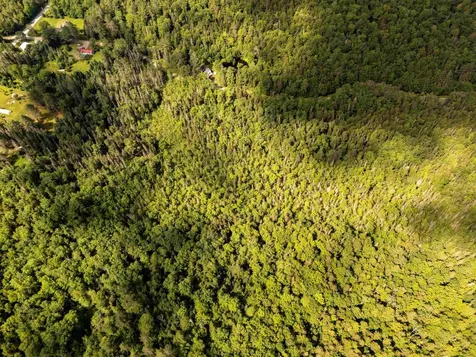 00 Boynton Road Londonderry VT 05148