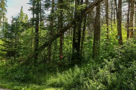 00 Boynton Road Londonderry VT 05148