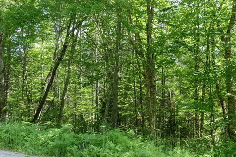 00 Boynton Road Londonderry VT 05148