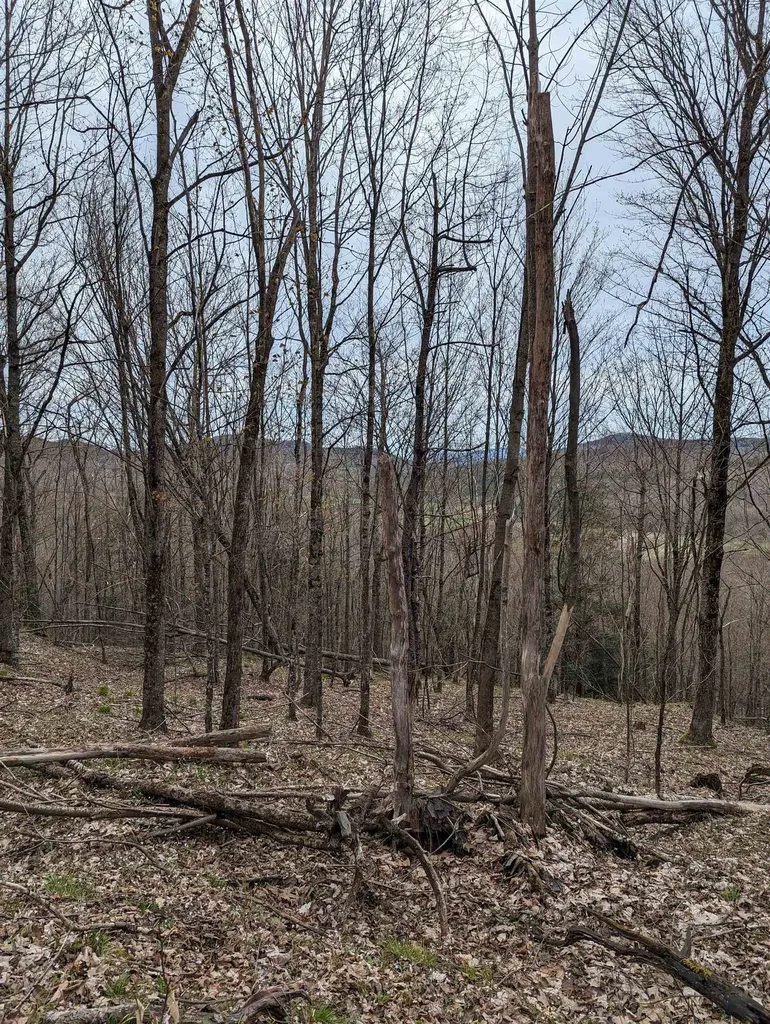 449 & 120 Dodd Road Fairfield VT 05448