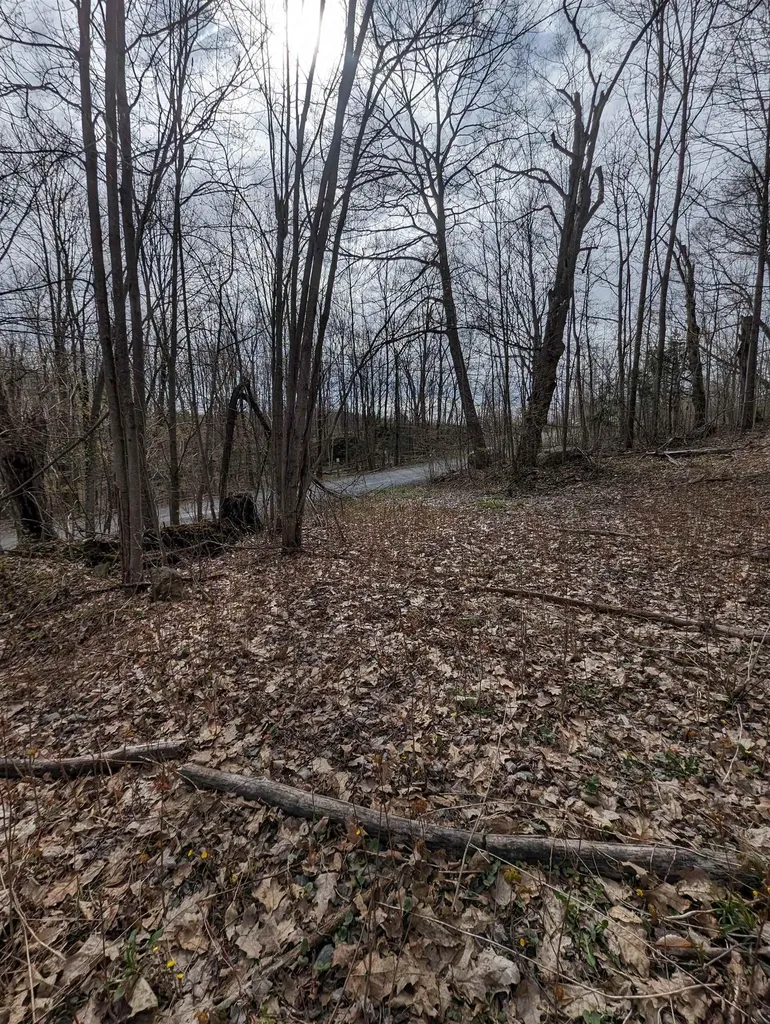 449 Dodd Road Fairfield VT 05448