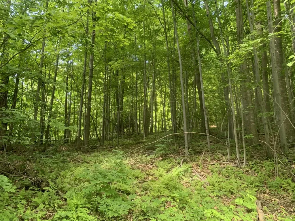 449 Dodd Road Fairfield VT 05448