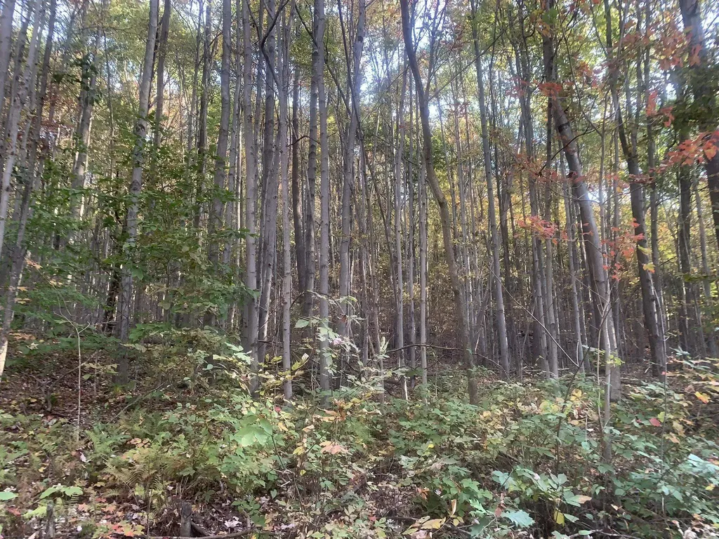 449 Dodd Road Fairfield VT 05448