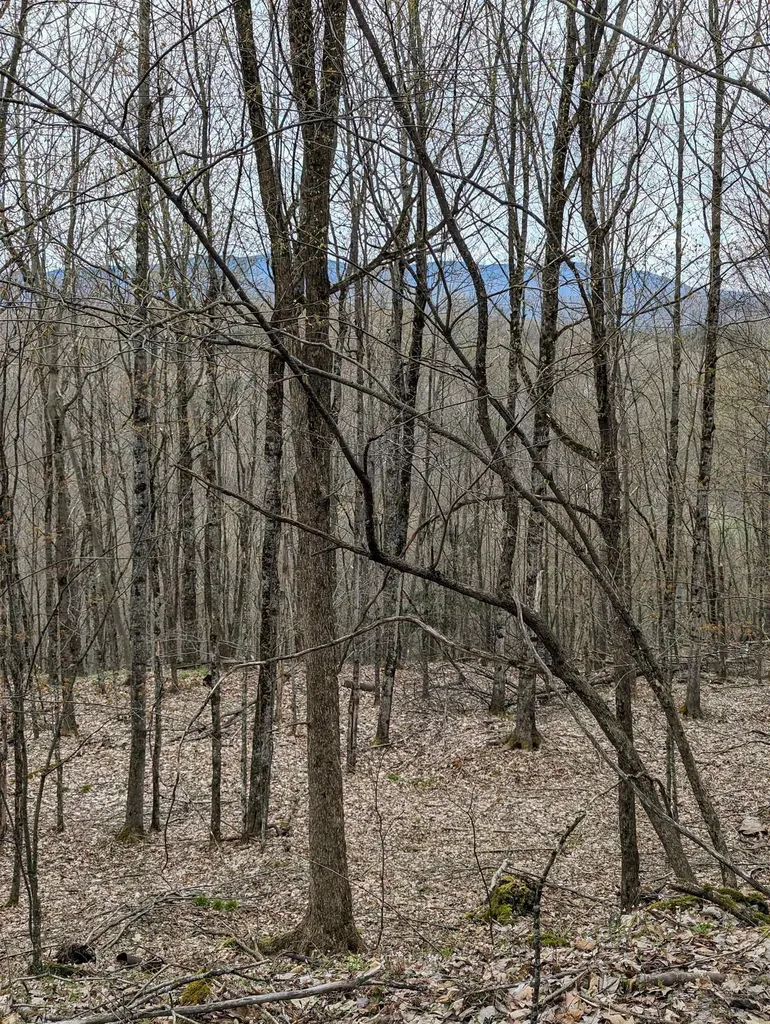 449 Dodd Road Fairfield VT 05448