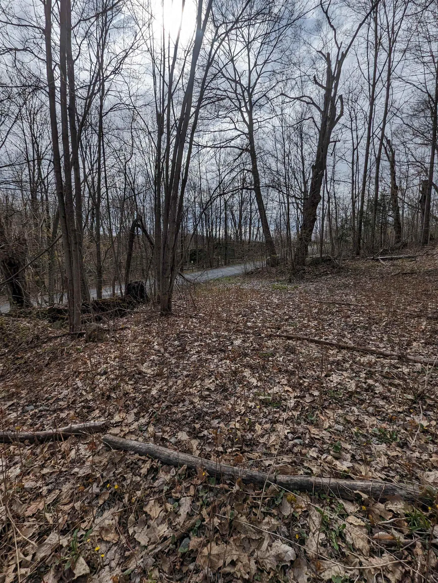 449 Dodd Road Fairfield VT 05448