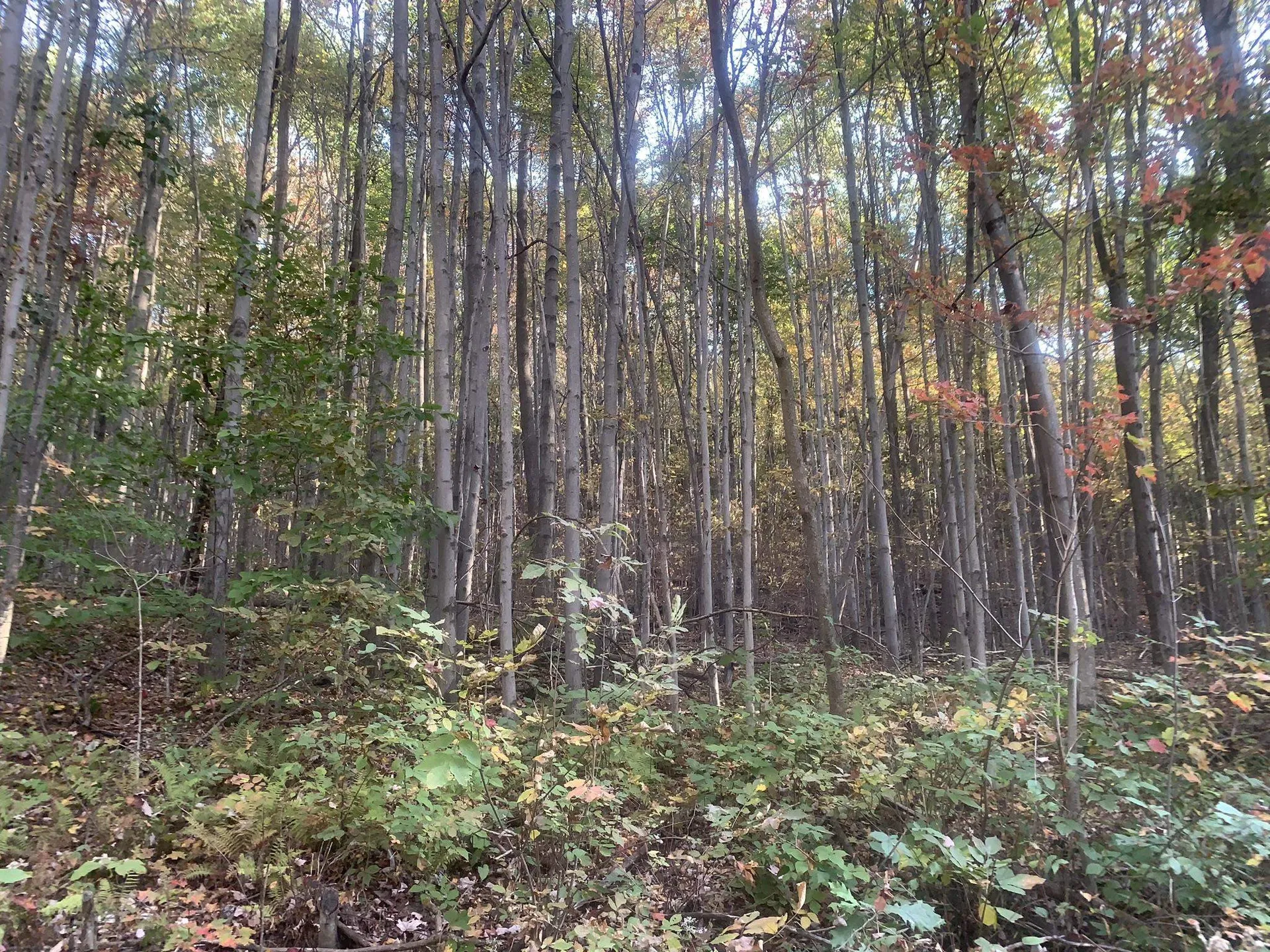 449 Dodd Road Fairfield VT 05448