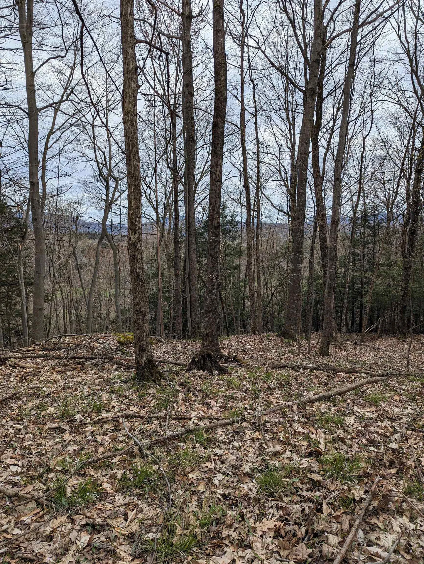 449 Dodd Road Fairfield VT 05448