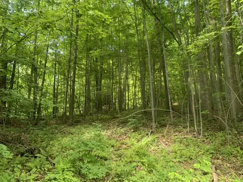 449 & 120 Dodd Road Fairfield VT 05448